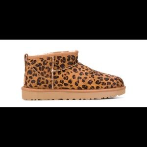New Leopard Ugg’s